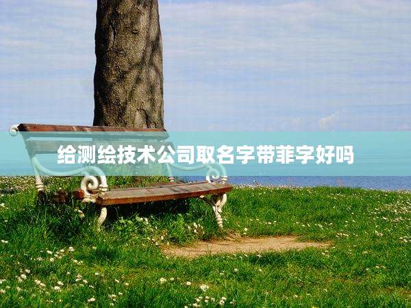 给测绘技术公司取名字带菲字好吗