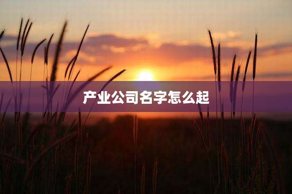 产业公司名字怎么起