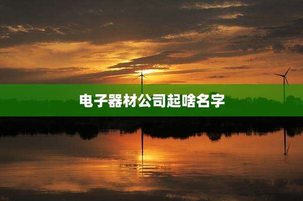 电子器材公司起啥名字