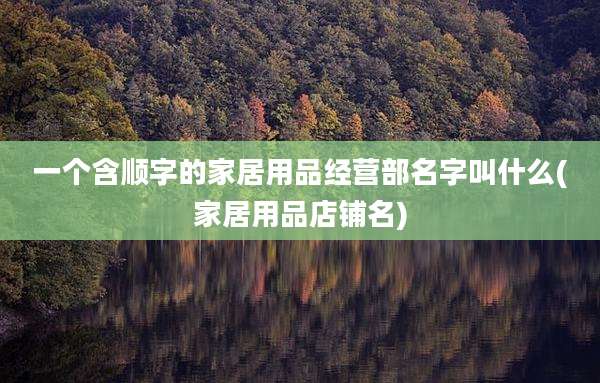 一个含顺字的家居用品经营部名字叫什么(家居用品店铺名)