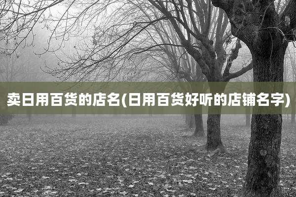 卖日用百货的店名(日用百货好听的店铺名字)