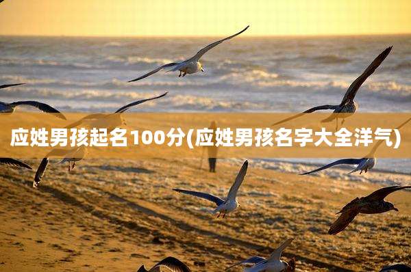 应姓男孩起名100分(应姓男孩名字大全洋气)