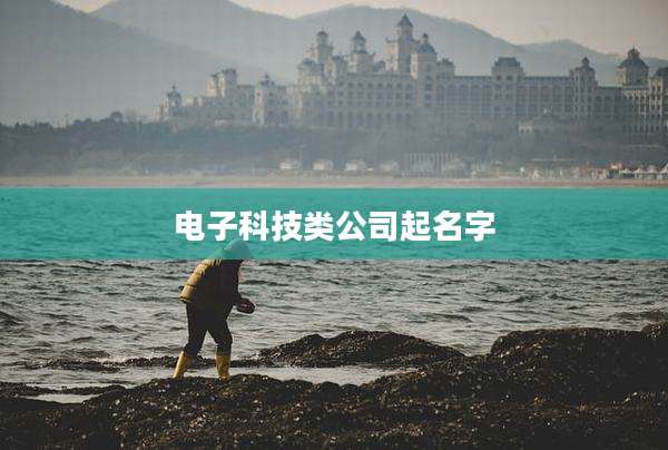 电子科技类公司起名字