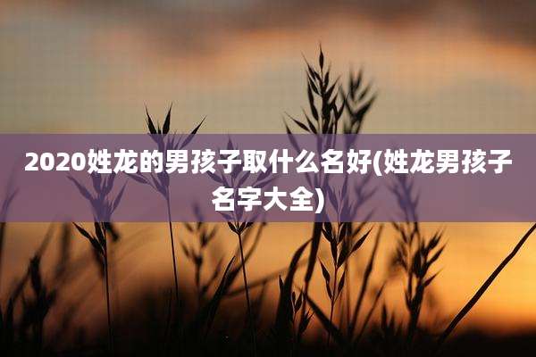 2020姓龙的男孩子取什么名好(姓龙男孩子名字大全)