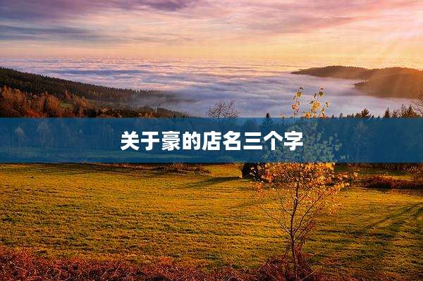 关于豪的店名三个字
