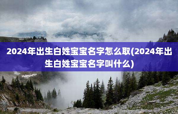 2024年出生白姓宝宝名字怎么取(2024年出生白姓宝宝名字叫什么)