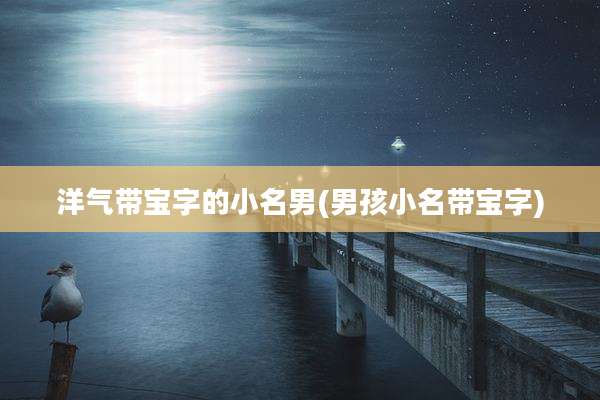 洋气带宝字的小名男(男孩小名带宝字)