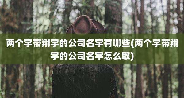 两个字带翔字的公司名字有哪些(两个字带翔字的公司名字怎么取)