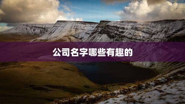 公司名字哪些有趣的