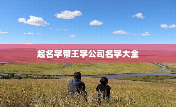 起名字带王字公司名字大全