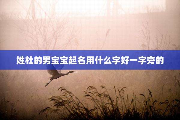 姓杜的男宝宝起名用什么字好一字旁的