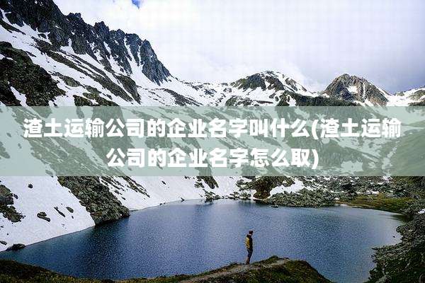 渣土运输公司的企业名字叫什么(渣土运输公司的企业名字怎么取)