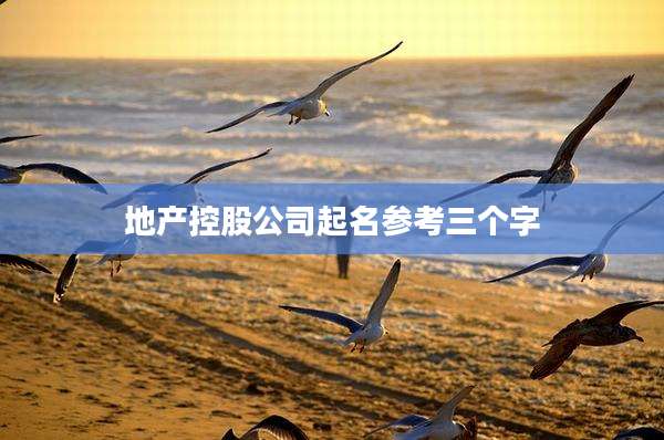 地产控股公司起名参考三个字