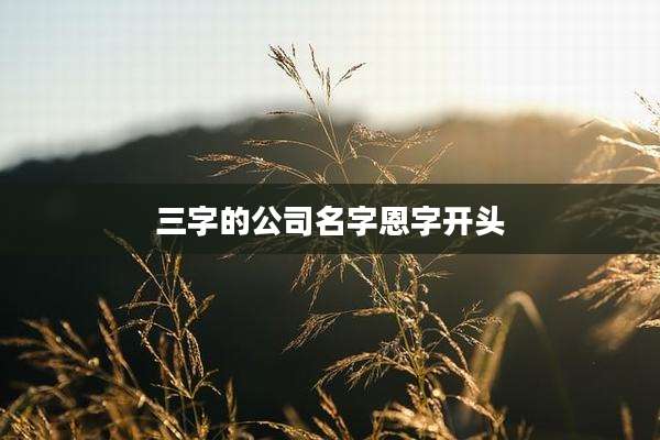 三字的公司名字恩字开头