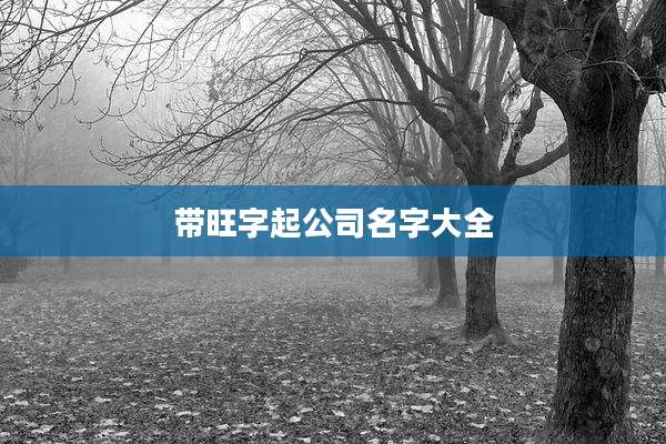 带旺字起公司名字大全