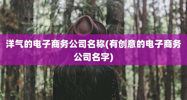 洋气的电子商务公司名称(有创意的电子商务公司名字)