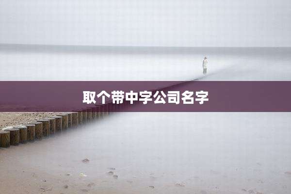 取个带中字公司名字