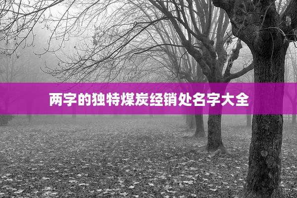 两字的独特煤炭经销处名字大全