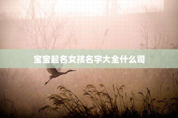 宝宝起名女孩名字大全什么司