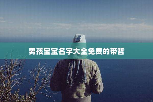 男孩宝宝名字大全免费的带哲