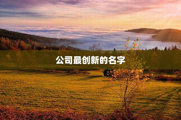 公司最创新的名字