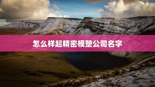 怎么样起精密模塑公司名字