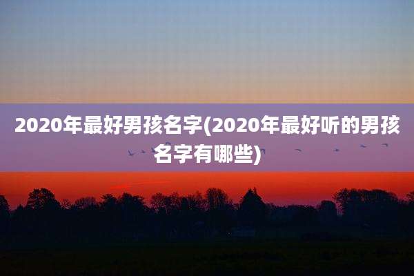 2020年最好男孩名字(2020年最好听的男孩名字有哪些)