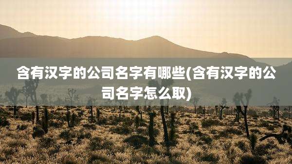 含有汉字的公司名字有哪些(含有汉字的公司名字怎么取)