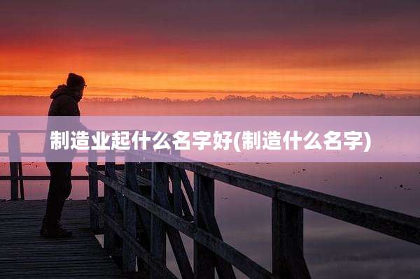 制造业起什么名字好(制造什么名字)