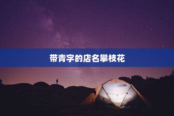 带青字的店名攀枝花