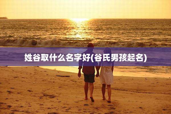 姓谷取什么名字好(谷氏男孩起名)