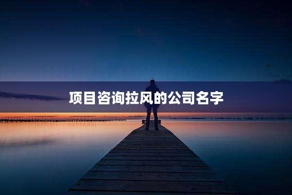 项目咨询拉风的公司名字