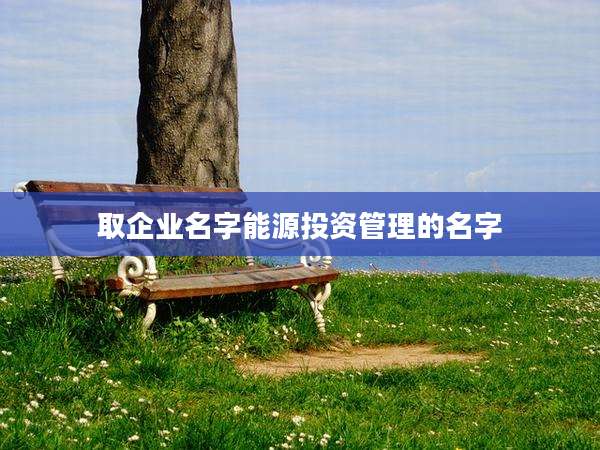 取企业名字能源投资管理的名字