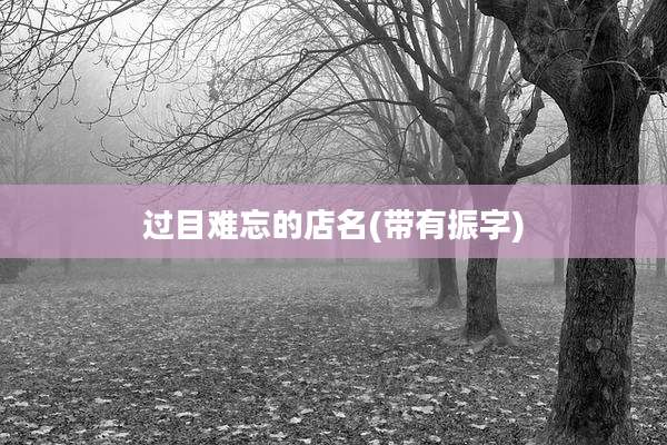 过目难忘的店名(带有振字)