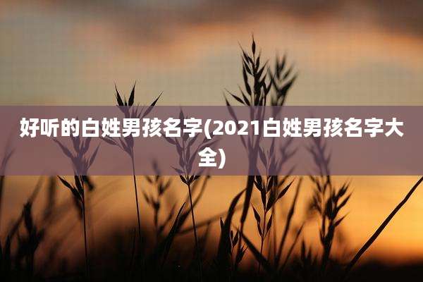 好听的白姓男孩名字(2021白姓男孩名字大全)