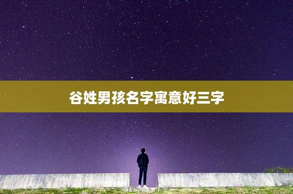 谷姓男孩名字寓意好三字