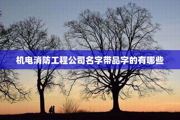 机电消防工程公司名字带品字的有哪些