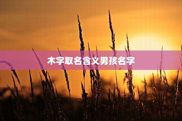 木字取名含义男孩名字
