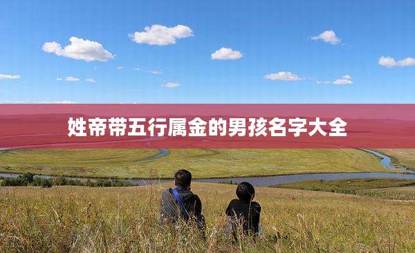 姓帝带五行属金的男孩名字大全