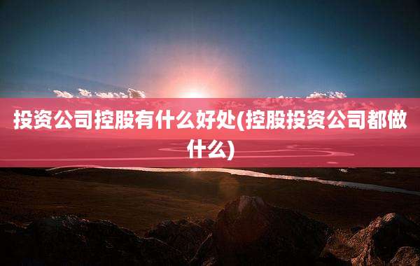 投资公司控股有什么好处(控股投资公司都做什么)
