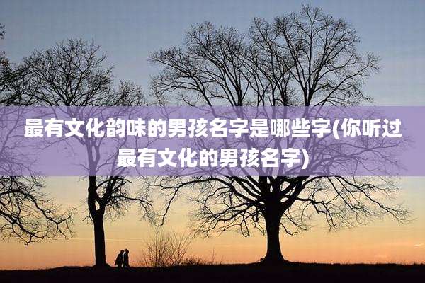 最有文化韵味的男孩名字是哪些字(你听过最有文化的男孩名字)