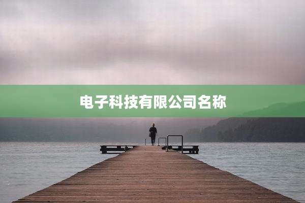 电子科技有限公司名称