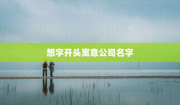 想字开头寓意公司名字
