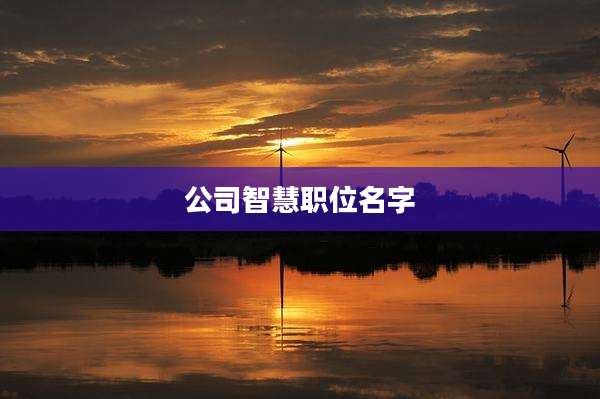 公司智慧职位名字