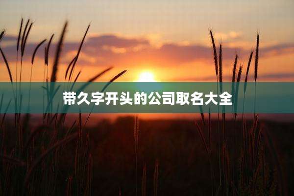 带久字开头的公司取名大全