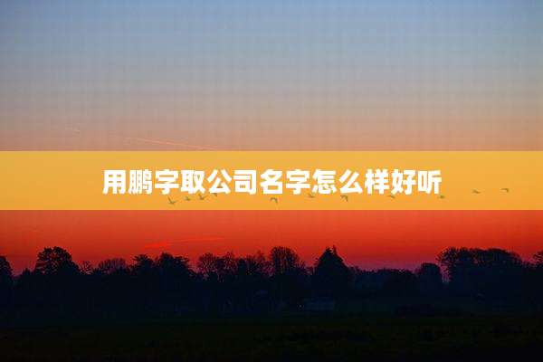 用鹏字取公司名字怎么样好听