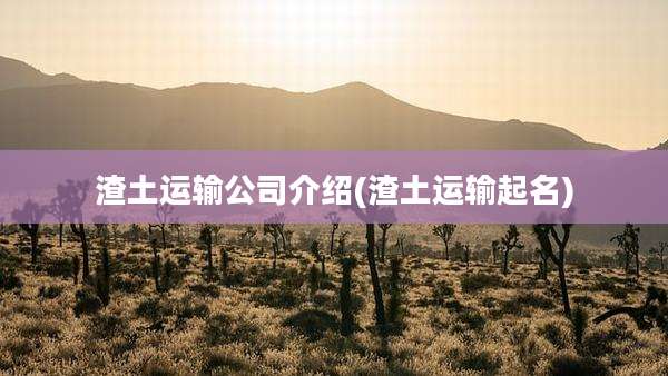渣土运输公司介绍(渣土运输起名)