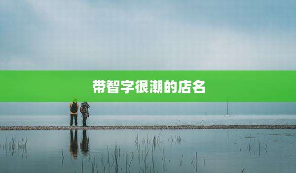 带智字很潮的店名