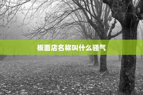 板面店名称叫什么骚气