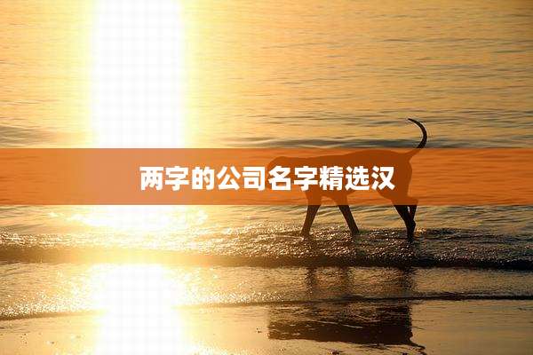 两字的公司名字精选汉